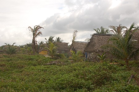 Miami, Tela, Honduras